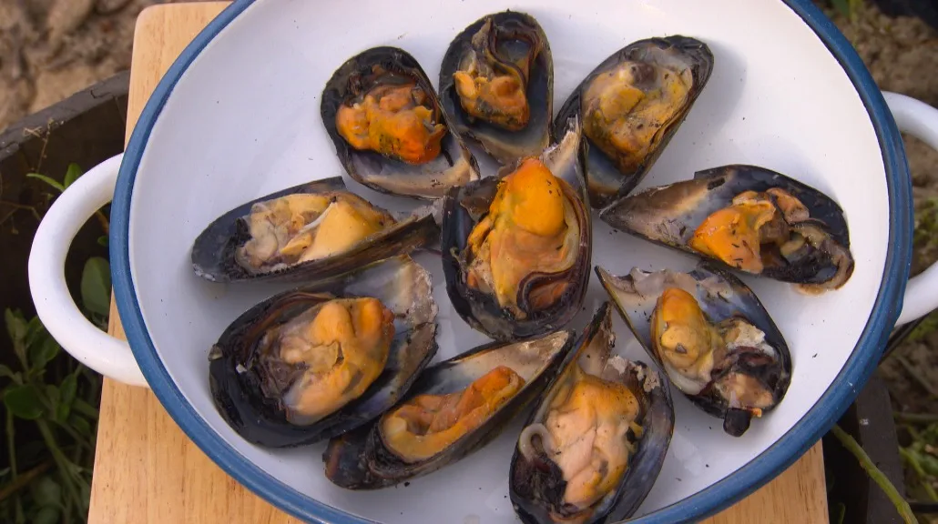 Beach-baked mussels with garlic-tarragon butter