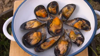 Beach-baked mussels with garlic-tarragon butter