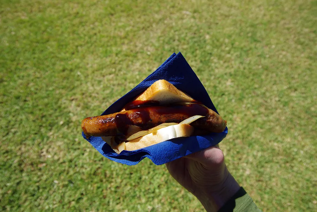 sausage in bread with onion background of green grass