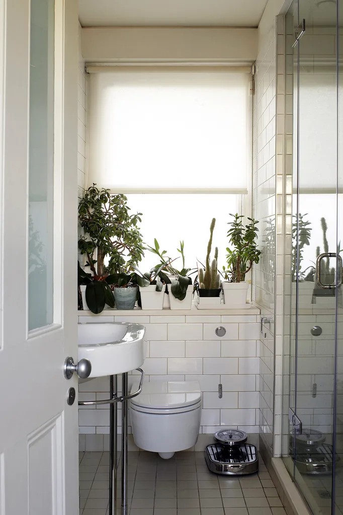 bathroom with plants