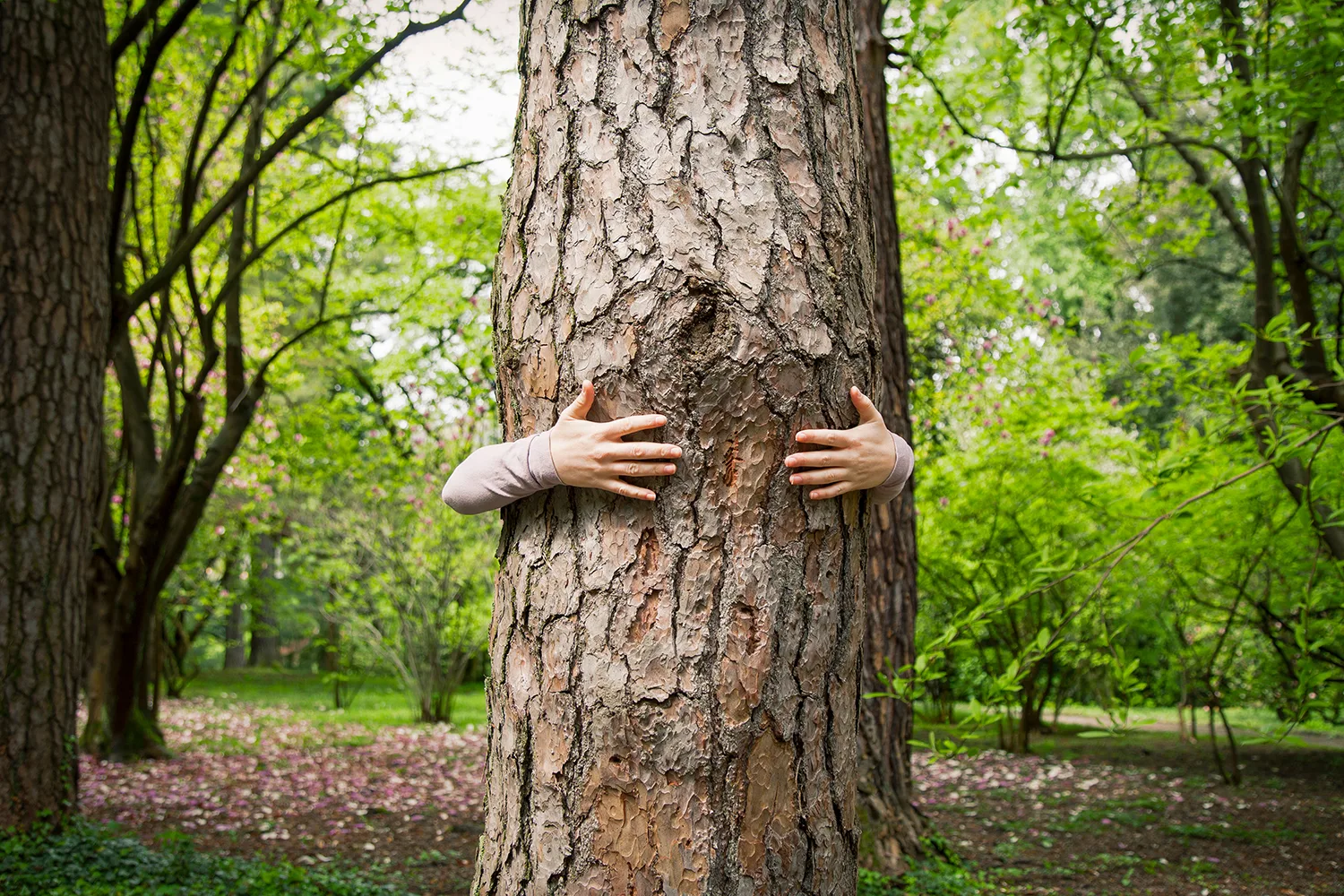 7 easy ways to live a more sustainable life