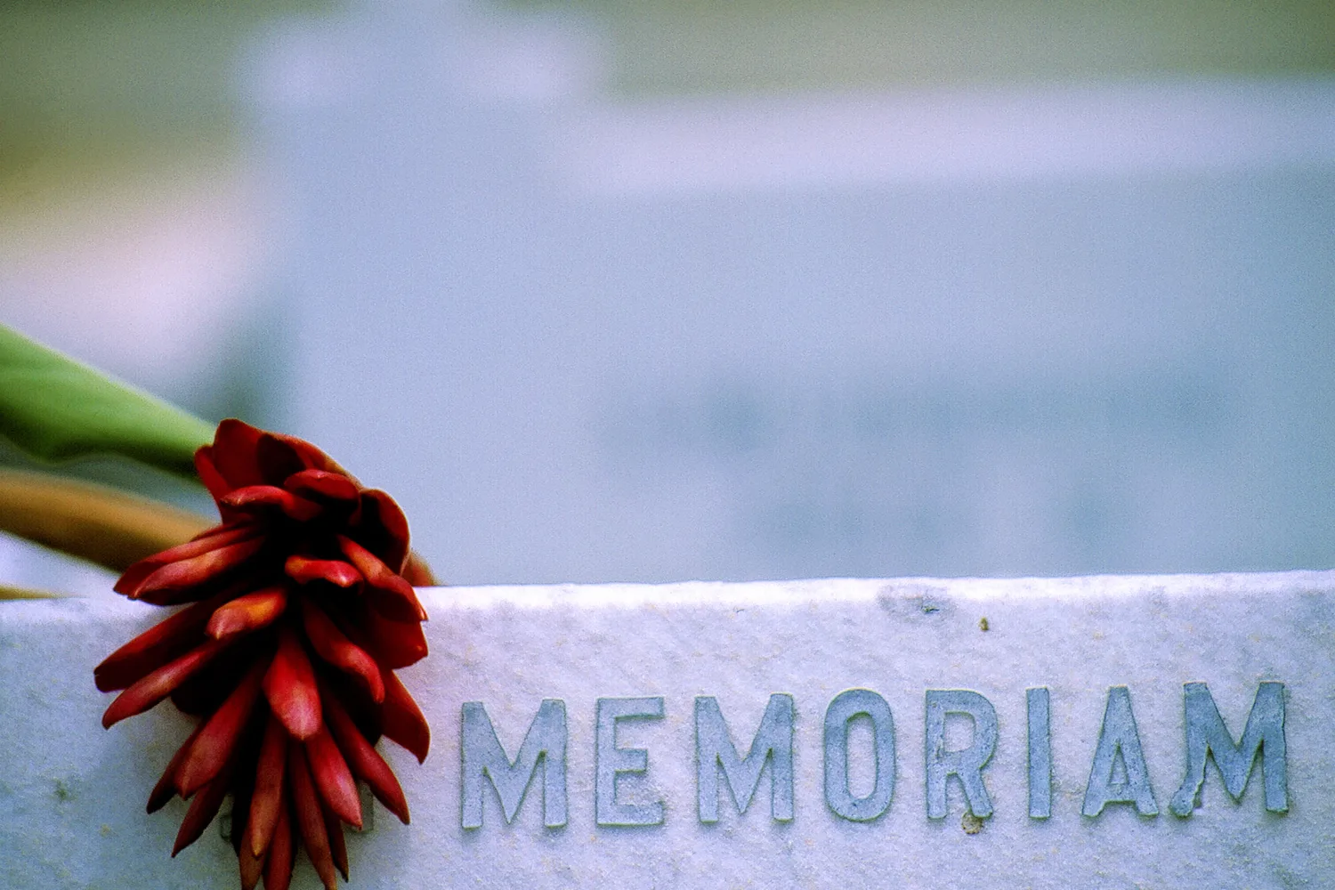 in memoriam stone