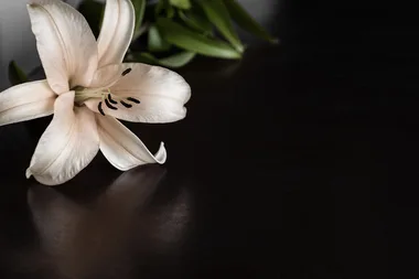 How much a funeral costs & what you need to know about funerals in Australia
