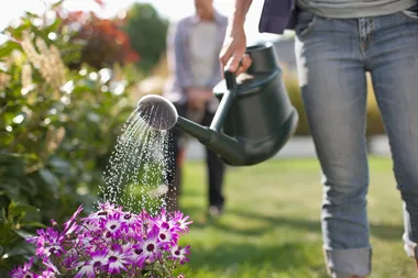 Top 10 gardening myths debunked