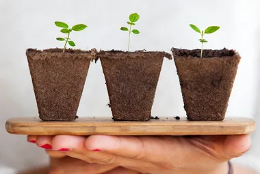 Five growing gifts for Father’s day
