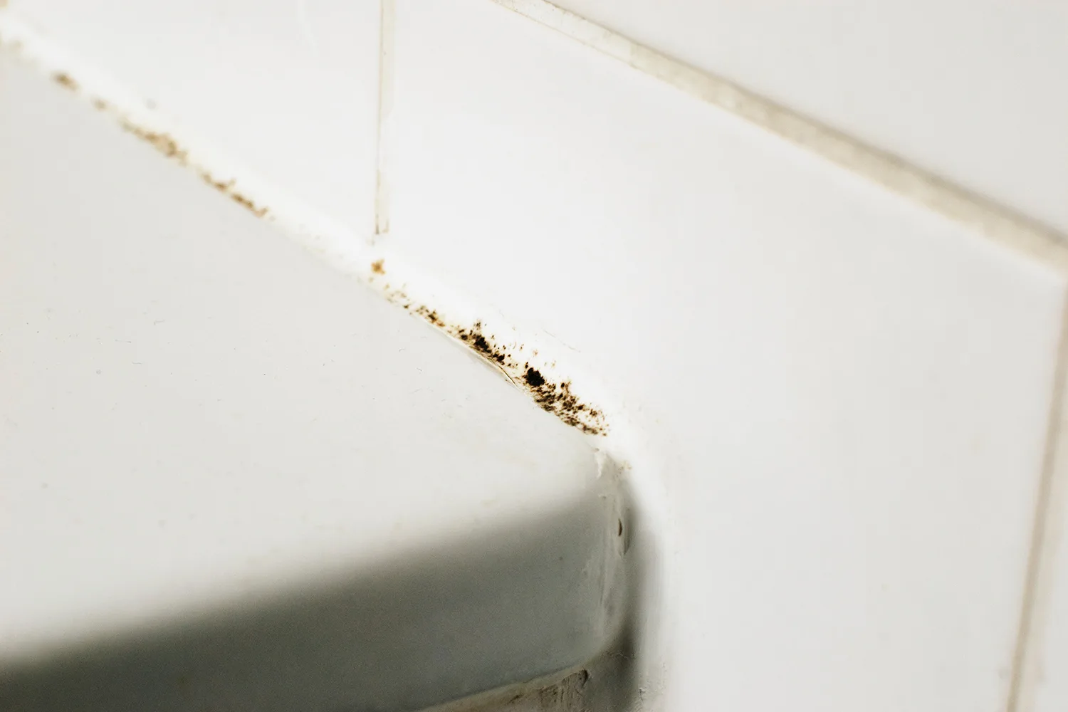 bathroom mould