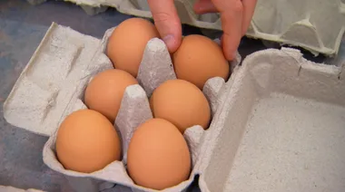 Dr Harry House Call: Best Eggs