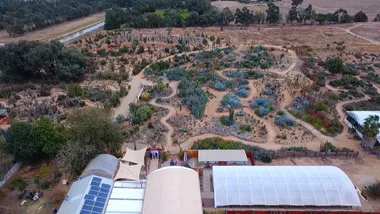 Cactus Country