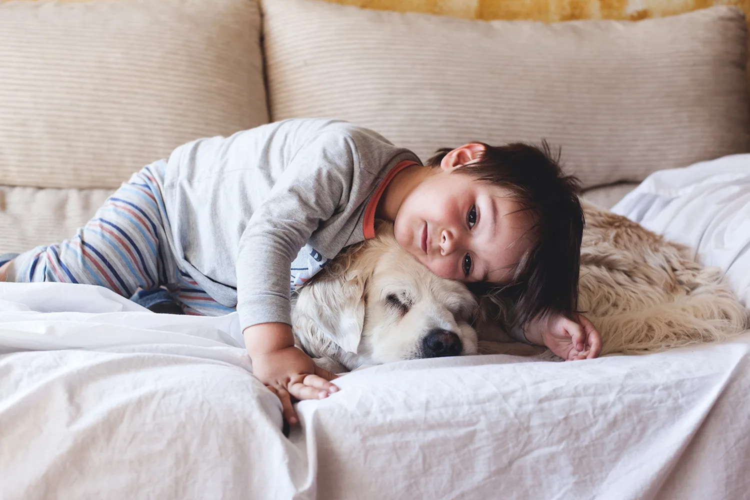 Why you need to vaccinate your pet