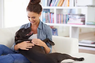Pet-friendly style hacks