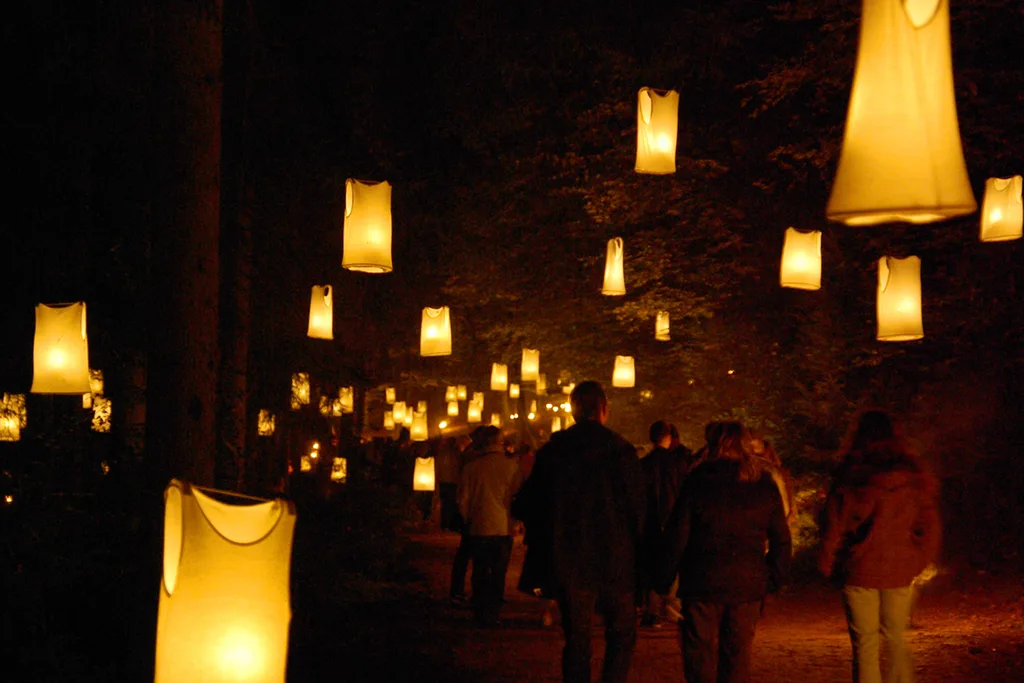 lanterns hung from trees