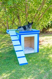 How to make a dog house