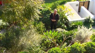 The Delta Garden