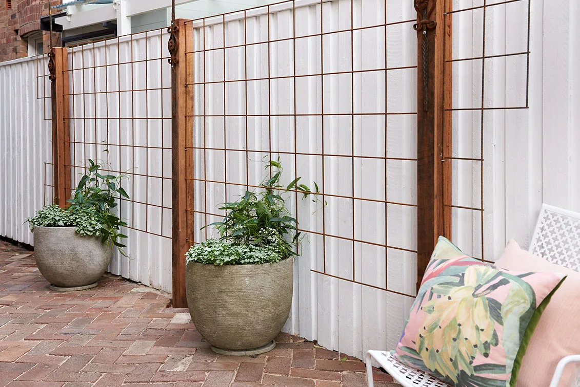 garden wall