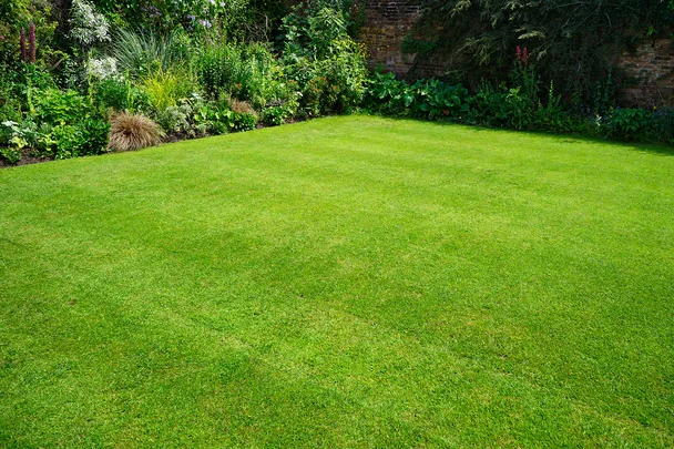 freshly laid lawn