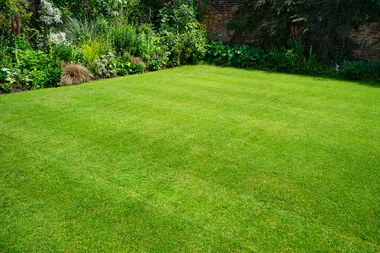 freshly laid lawn