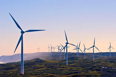 2 in 5 Australians don’t care about going green