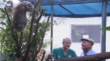 Dr Harry visits Currumbin Wildlife Hospital