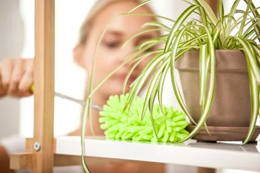 17 places you’re forgetting to dust at home