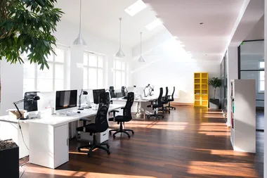 7 of the best plants that will survive on your office desk
