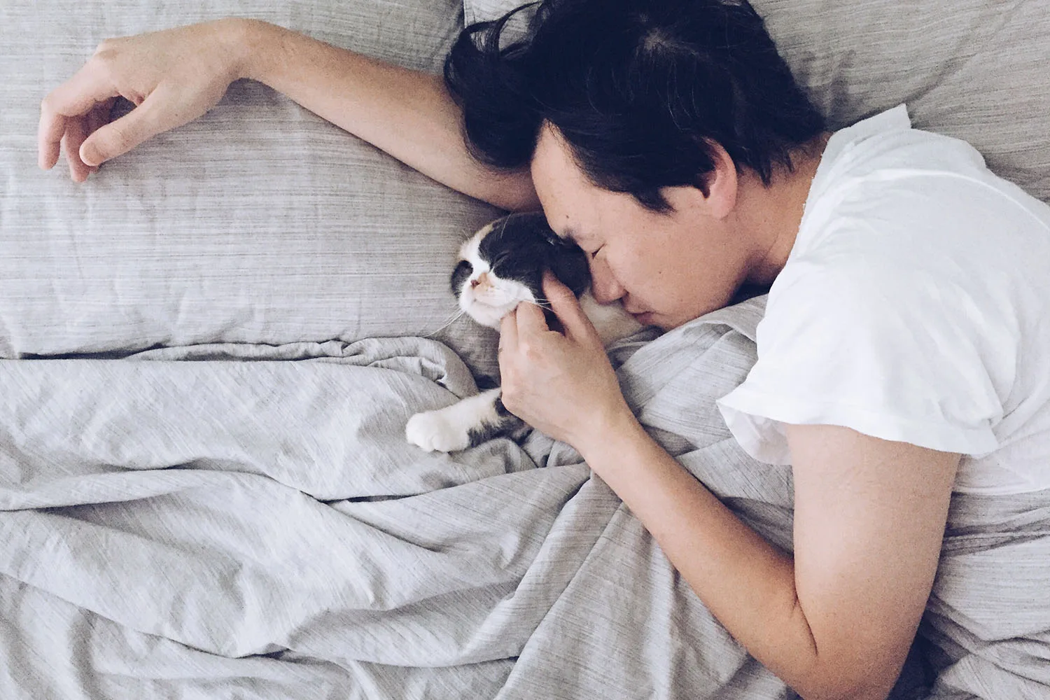 man asleep in bed with cat