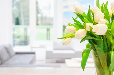 Is your home making you sick?