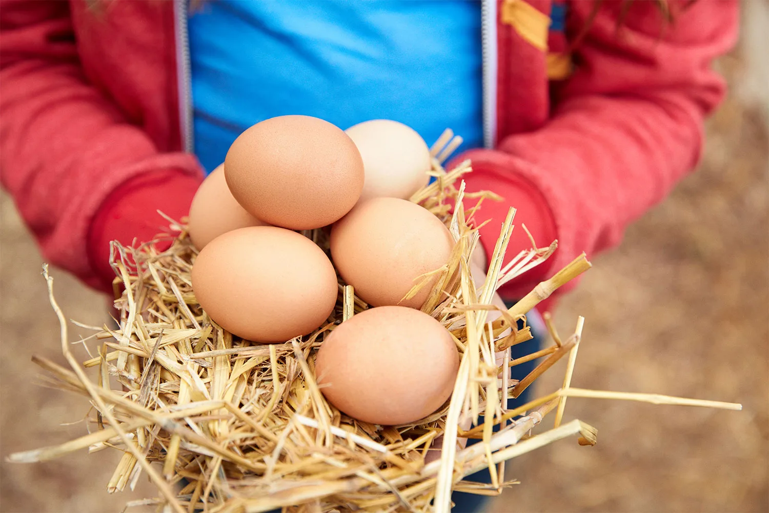 Organic eggs