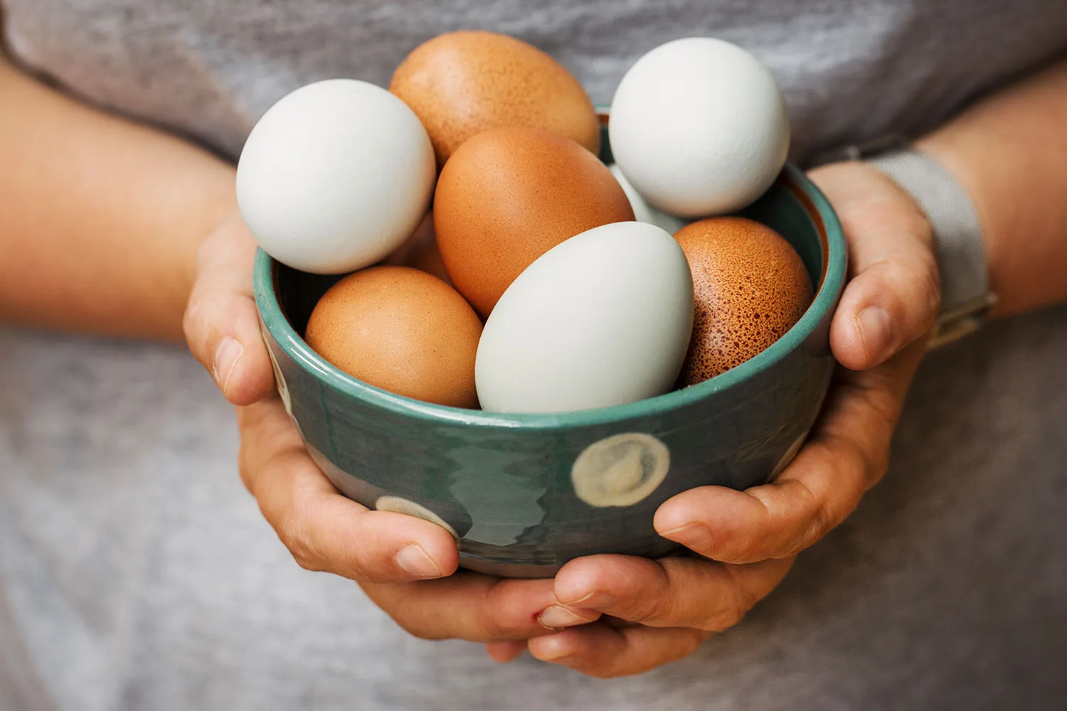 Eggs in bowl held by hands