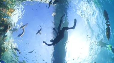 Explore: Great Barrier Reef