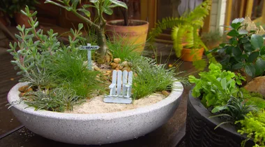 Mini landscape pots