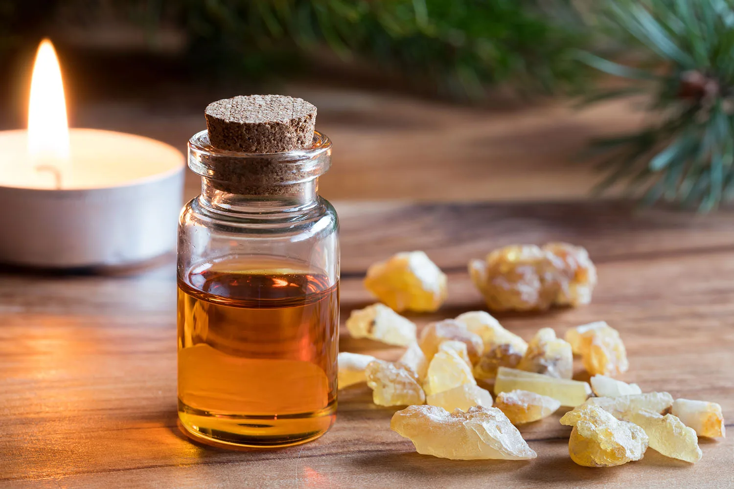 frankincense oil and resin