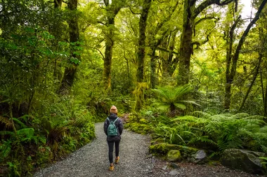 person walking on path into rainforest