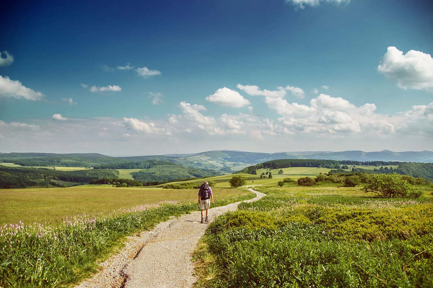 man walking on path in countryside