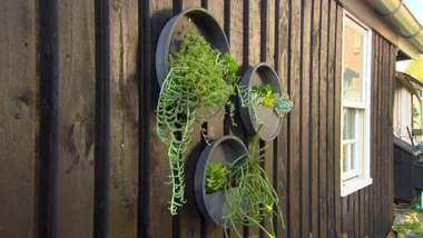 Cake Tin Planter