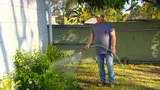 From Seed To Sow To Grow