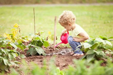 How to create a toddler-friendly garden
