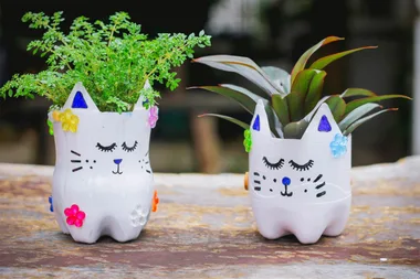 How to make recycled kitty planters