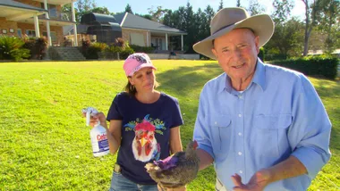 Dr Harry Housecall: Michelle’s Happy Hens