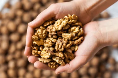 4 reasons why you should eat nuts today