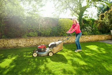 Your guide to growing a lush lawn