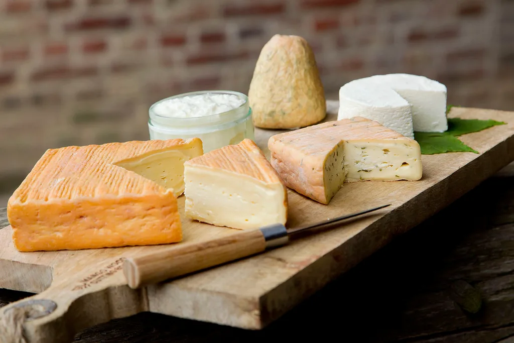 cheese
