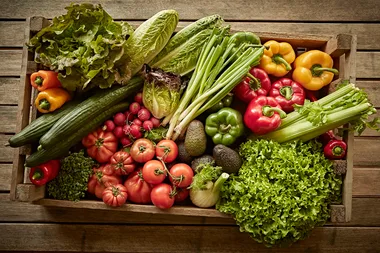 Are nightshade vegetables actually toxic?