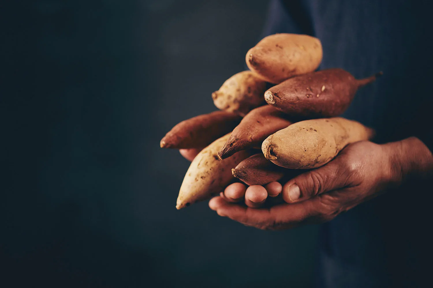 sweet potato