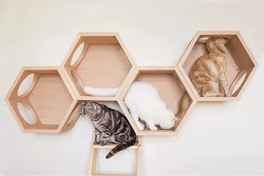 This space-age pet house will literally take your cats to the next level