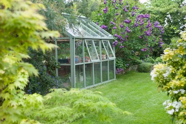 DIY greenhouse: How to build a greenhouse