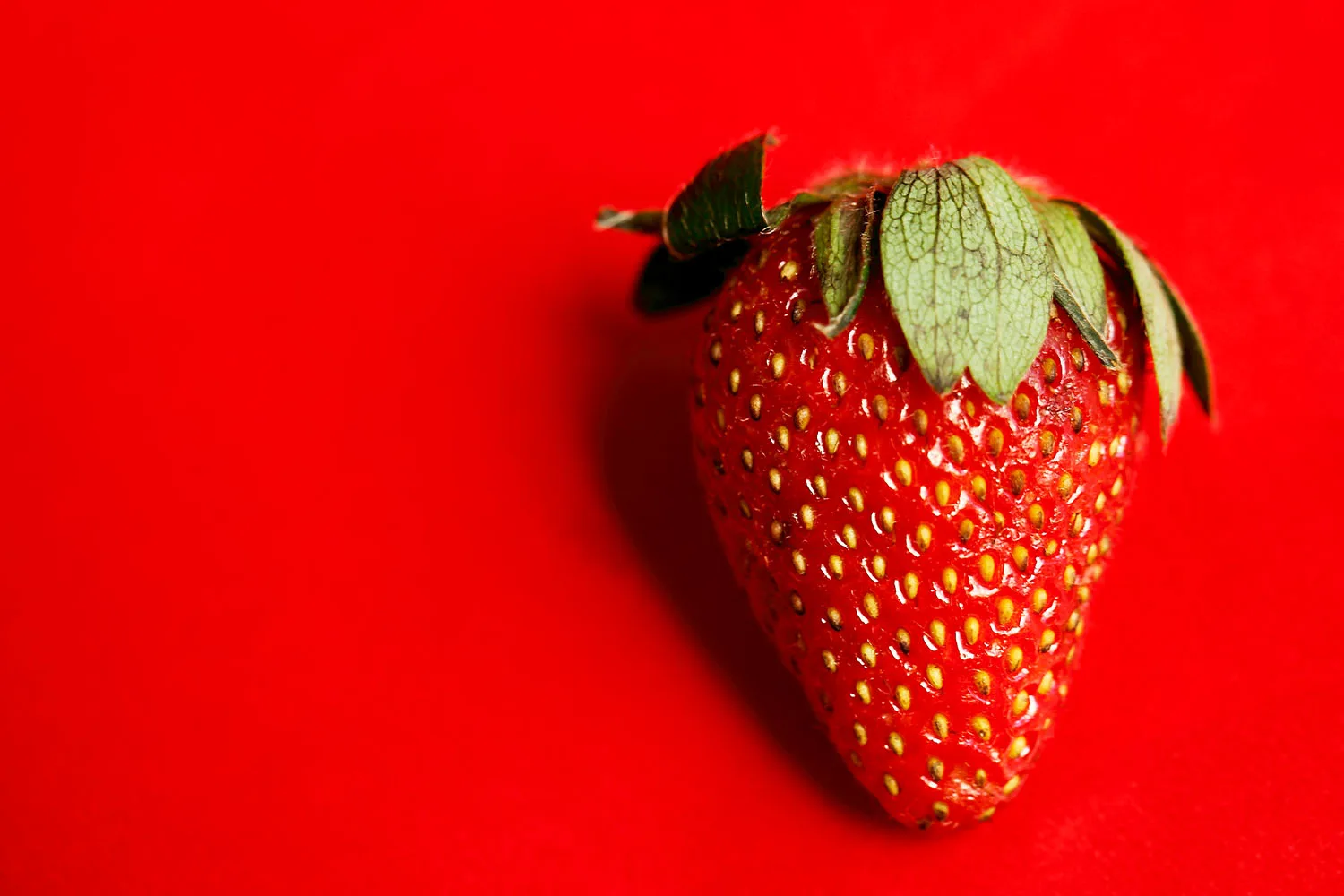 strawberry on red background