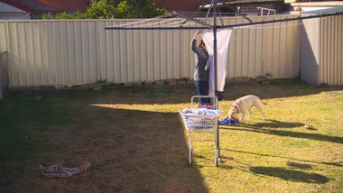 Dr Harry Housecall: Washing Line Labrador