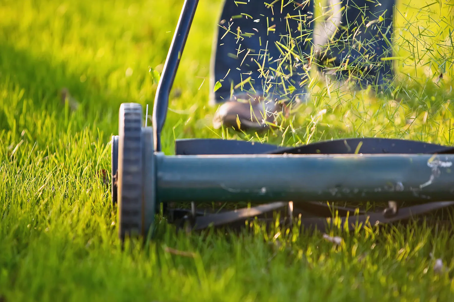 manual lawn mower