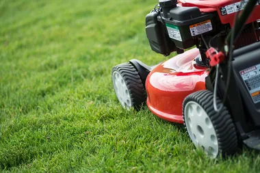 How often should you mow your lawn?