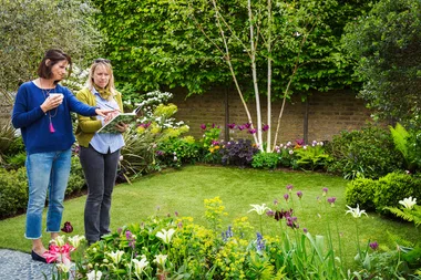 How to landscape on a budget